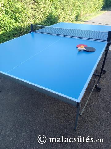 Ping pong asztal