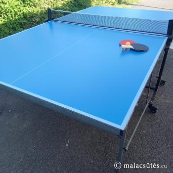 Ping pong asztal